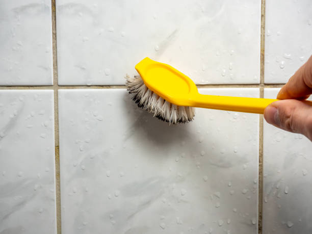Best Black Mold Removal  in Biscoe, NC