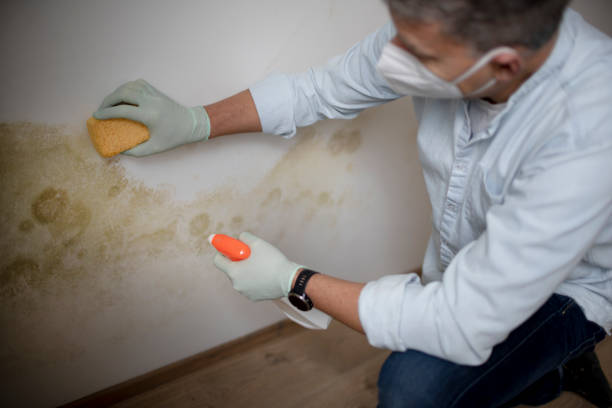 Water Damage Restoration in Biscoe, NC