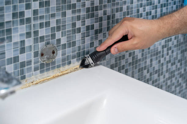 Best Best Mold Removal Companies  in Biscoe, NC
