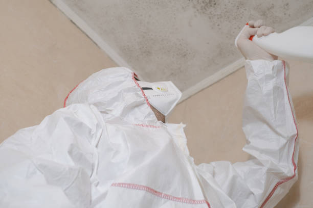 Best Emergency Mold Removal  in Biscoe, NC