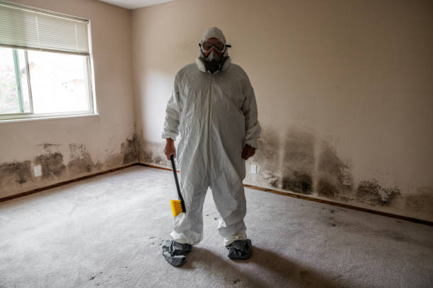 Best Local Mold Removal Service  in Biscoe, NC