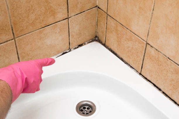 Best Mold Testing  in Biscoe, NC